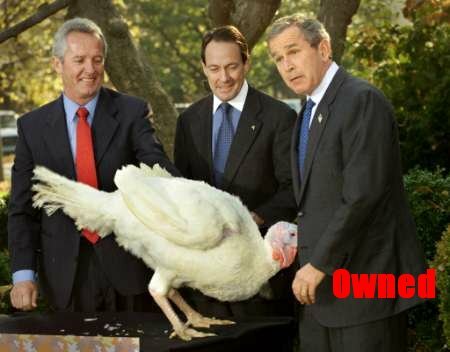 bush_turkey_owned.jpg