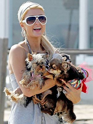Paris with her Dogs